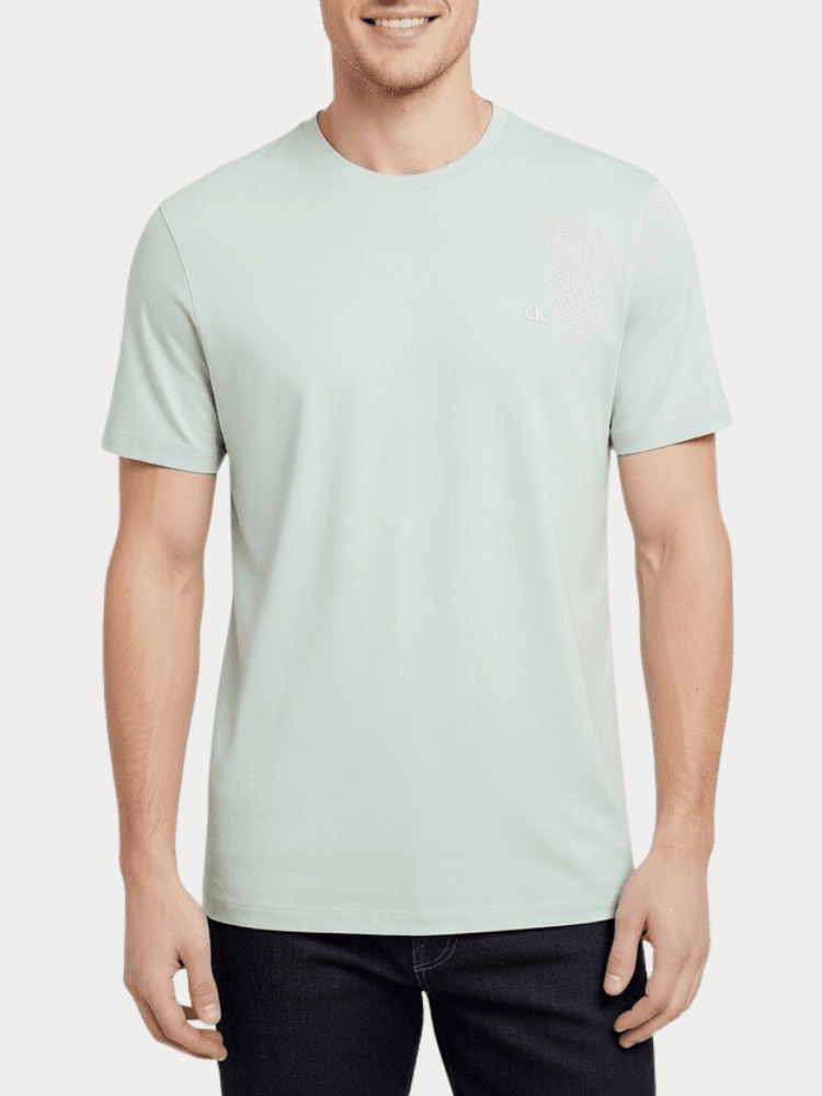 Men's T-Shirts Calvin Klein Gray