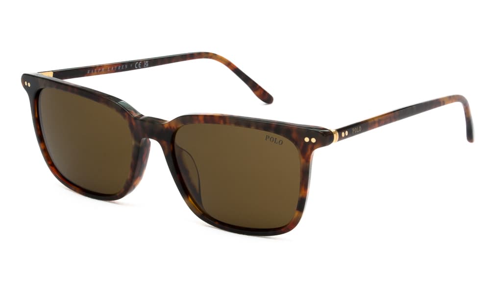 Men's Sunglasses Polo Ralph Lauren Brown