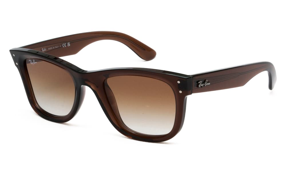 Men's Sunglasses Ray-Ban Brown