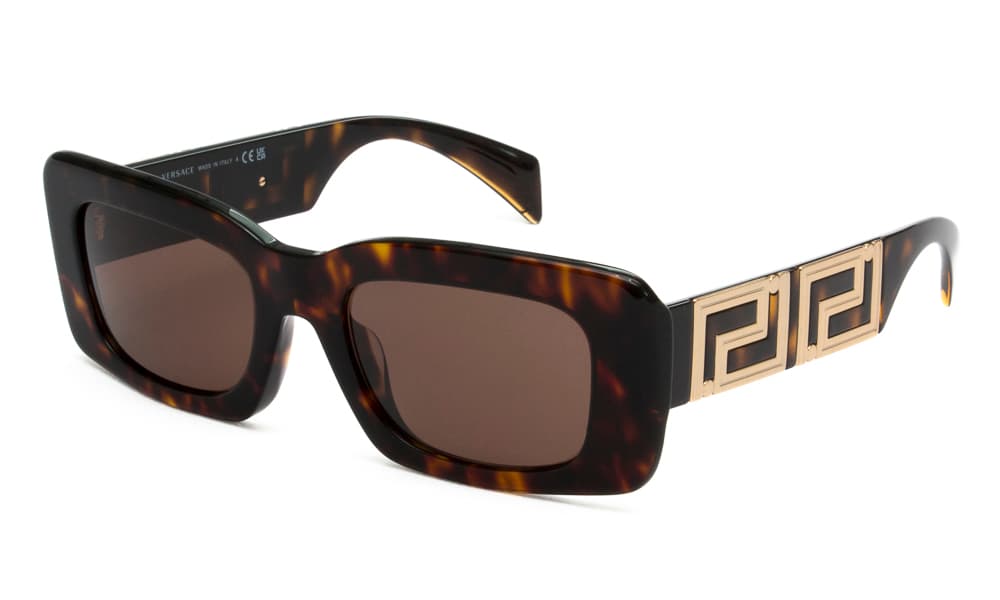 Women's Sunglasses Versace Brown