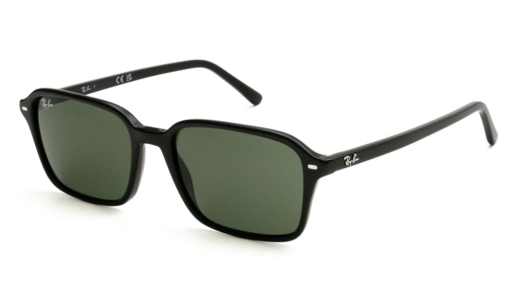 Men's Sunglasses Ray-Ban Brown