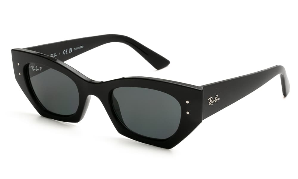 Women's Sunglasses Ray-Ban Black