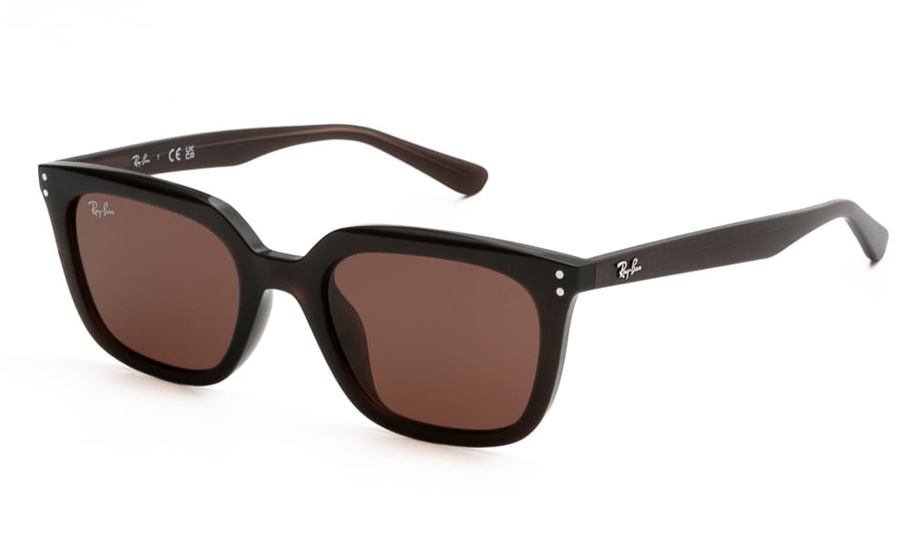 Women's Sunglasses Ray-Ban Brown