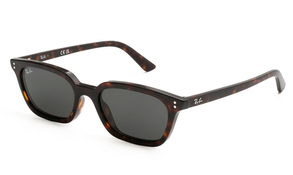 Women's Sunglasses Ray-Ban Brown
