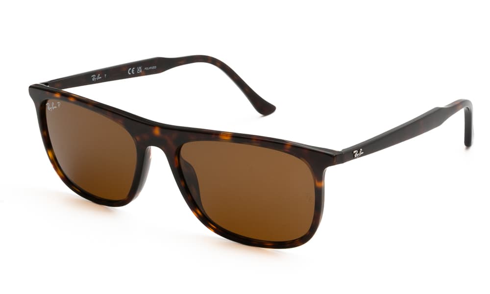 Women's Sunglasses Ray-Ban Brown