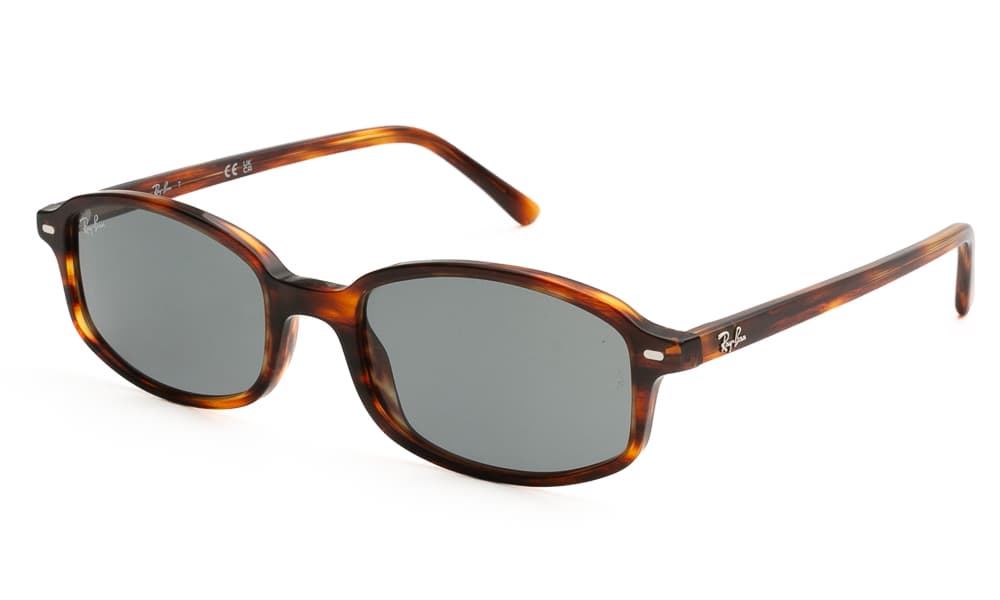 Men's Sunglasses Ray-Ban Brown