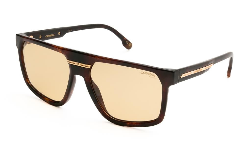 Men's Sunglasses Carrera Brown