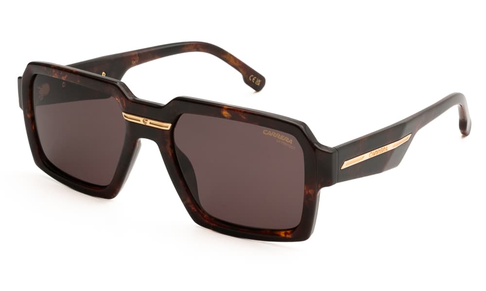 Men's Sunglasses Carrera Brown