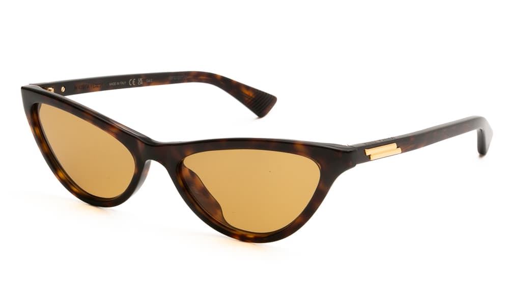 Women's Sunglasses Bottega Veneta Gray
