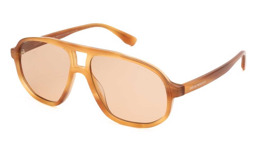 Men's Sunglasses Emporio Armani Brown