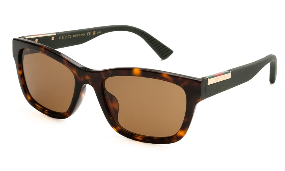 Men's Sunglasses Gucci Brown