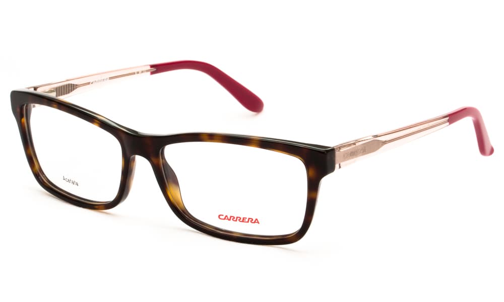 Men's Eyeglasses Carrera Brown