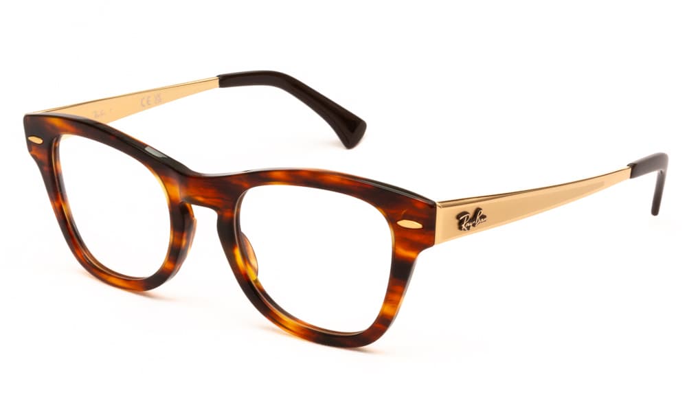 RAY BAN ΣΚΕΛΕΤΟΣ ΟΡΑΣΕΩΣ RAY BAN 0707VM 2144 5021 0707VM Ταρταρούγα