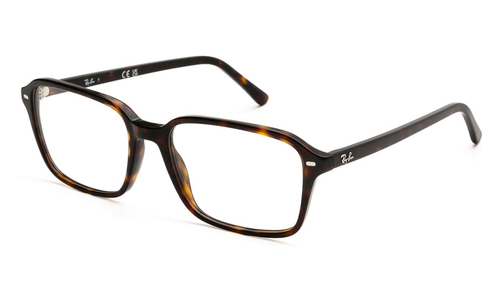 Men's Eyeglasses Ray-Ban Brown