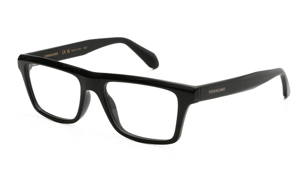 Men's Eyeglasses Ferragamo Black