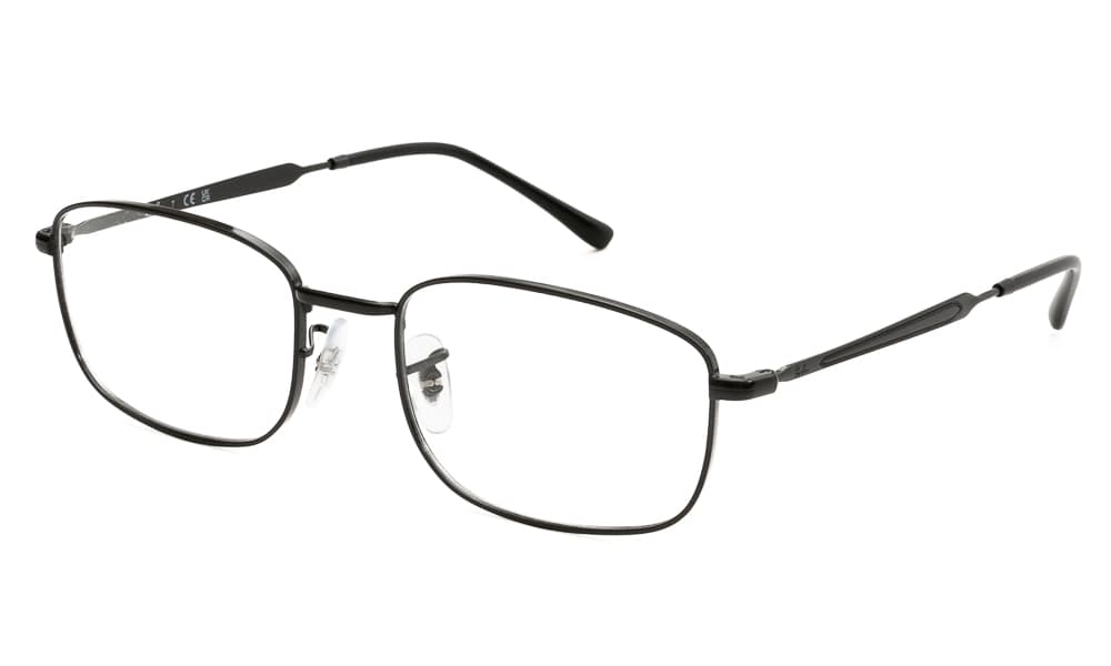 RAY BAN ΣΚΕΛΕΤΟΣ ΟΡΑΣΕΩΣ RAY BAN 6533 2509 5219 6533 Μαύρο