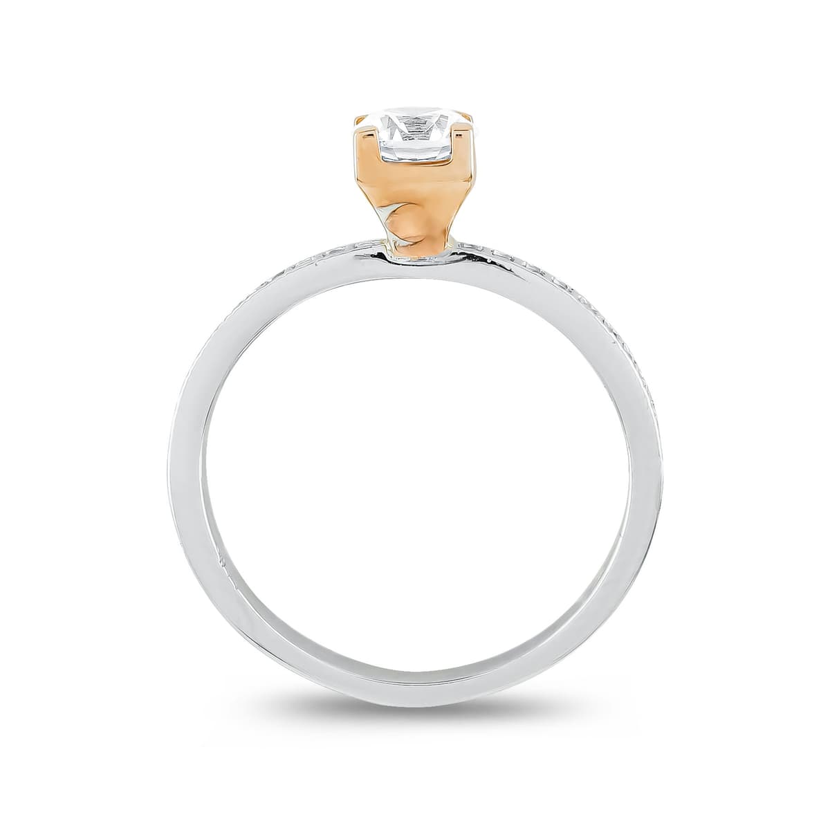 Women's Rings Gofas Gold