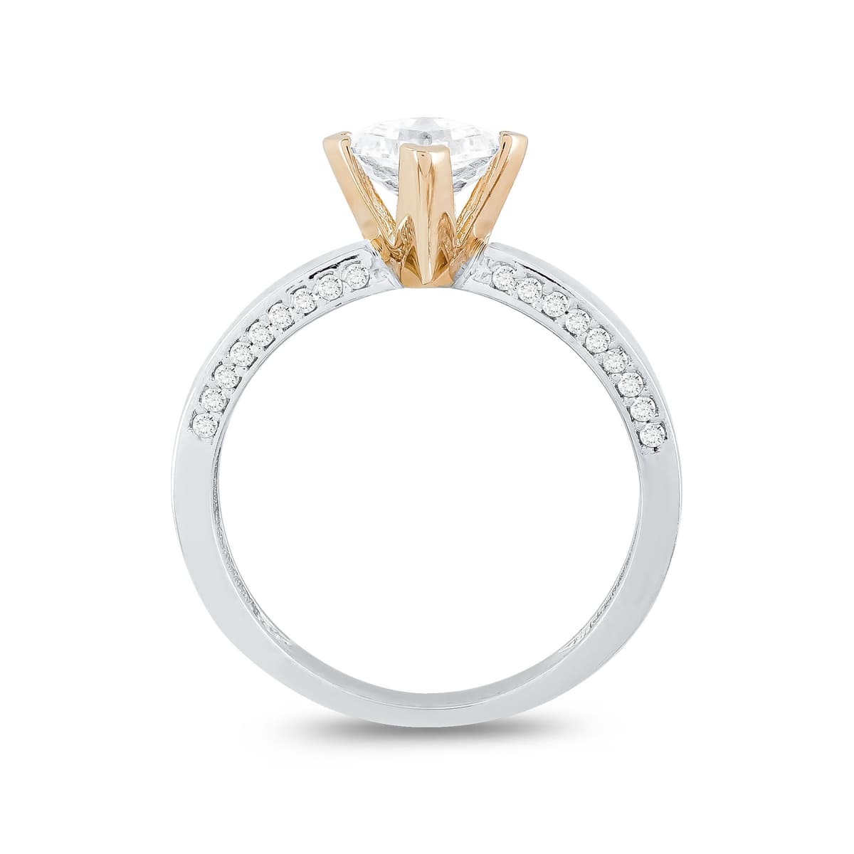 Women's Rings Gofas Gold