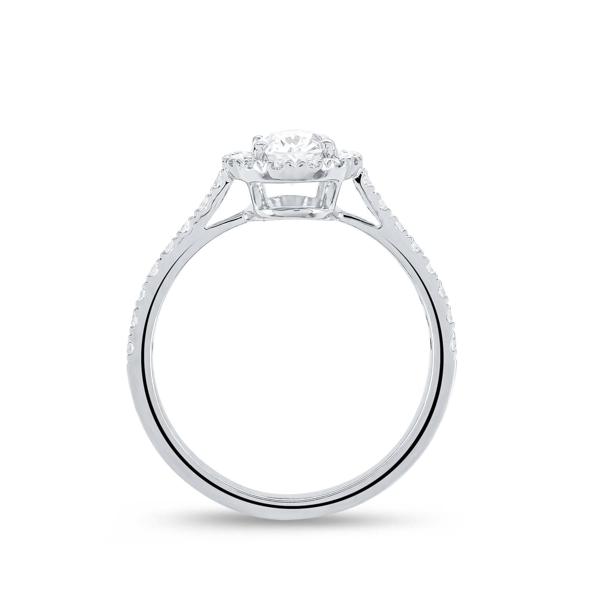 Women's Rings Gofas Silver