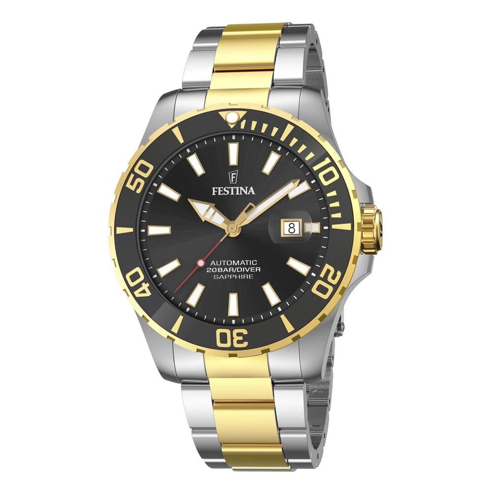 Men's Watches FESTINA Silver