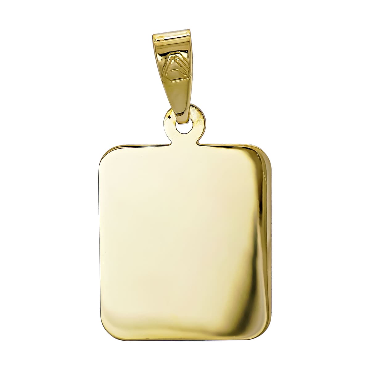 Ταυτότητα Μενταγιόν από Κίτρινο Χρυσό 9 Καρατίων TM134