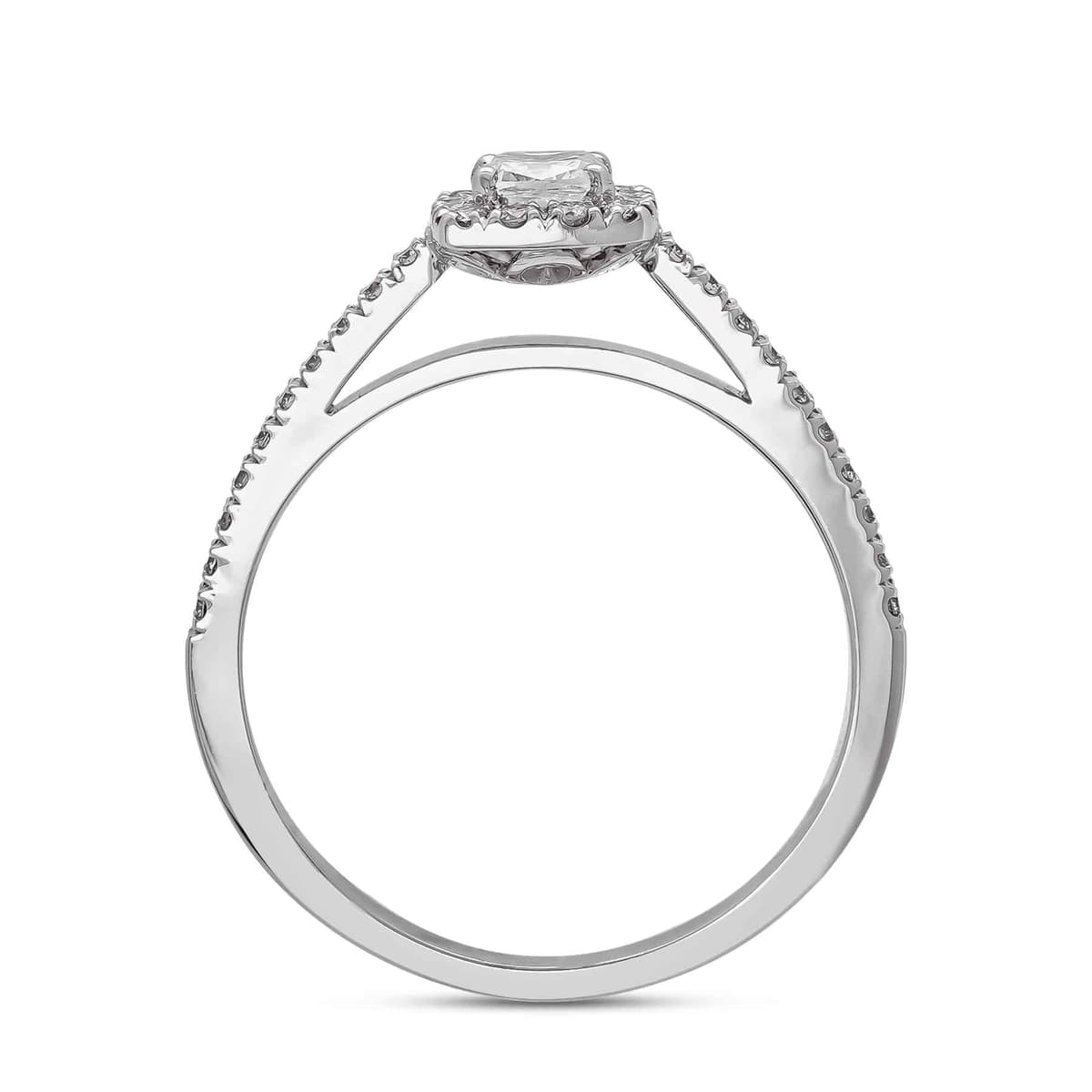 Women's Rings Gofas Silver