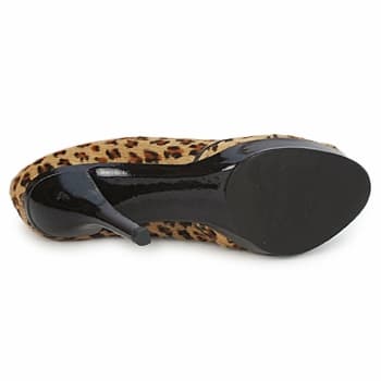 Women's Pumps Paco Gil Brown