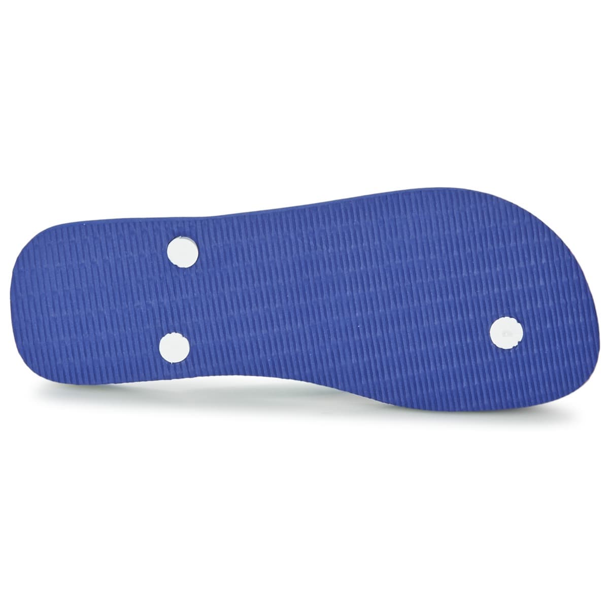 Women's Flip Flops Havaianas Blue