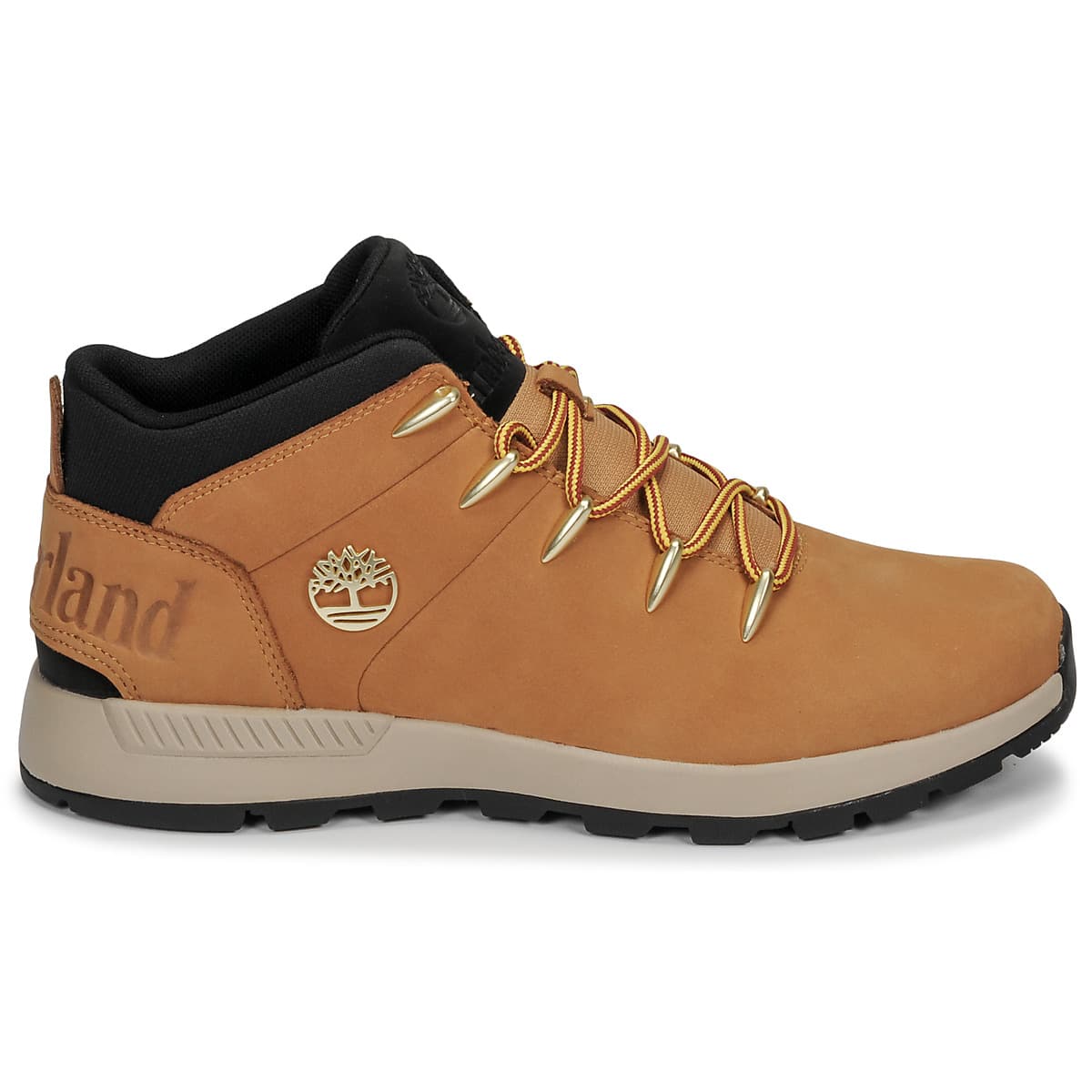 Men's Sneakers Timberland Brown