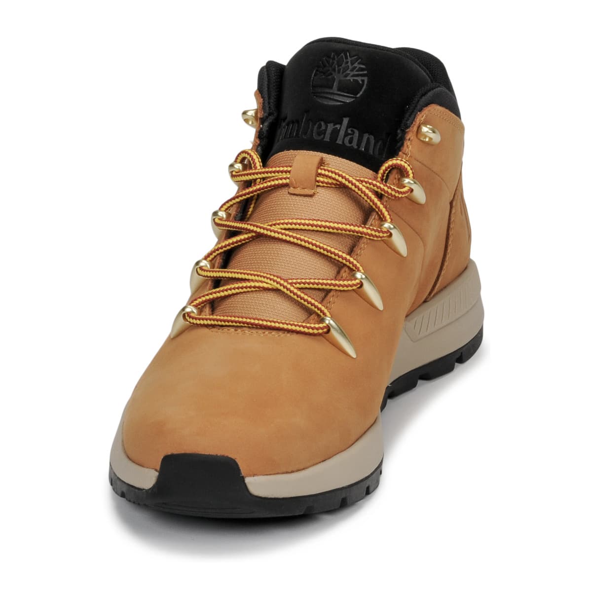 Men's Sneakers Timberland Brown