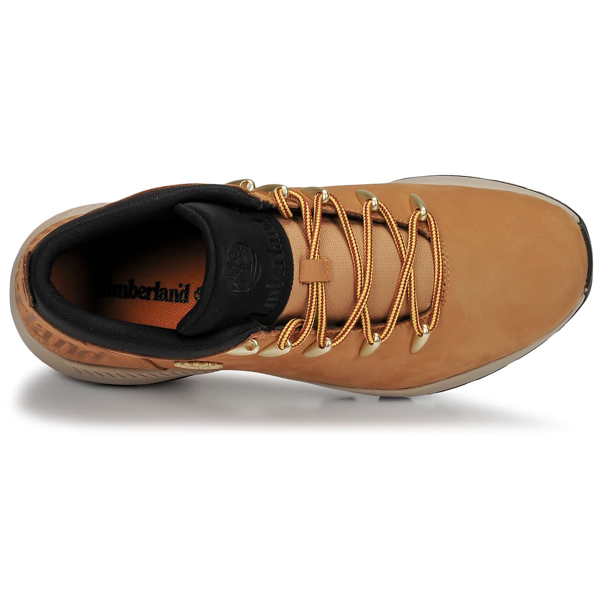 Men's Sneakers Timberland Brown