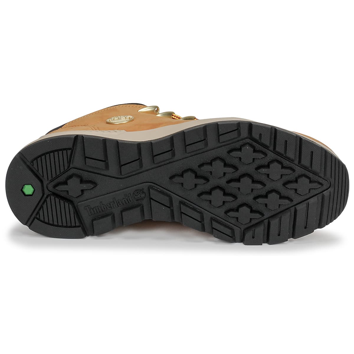 Men's Sneakers Timberland Brown