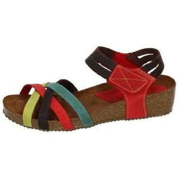 Women's Platforms Interbios Multicolor