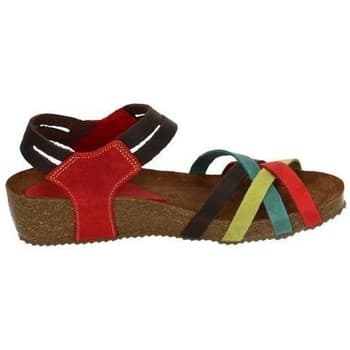 Women's Platforms Interbios Multicolor
