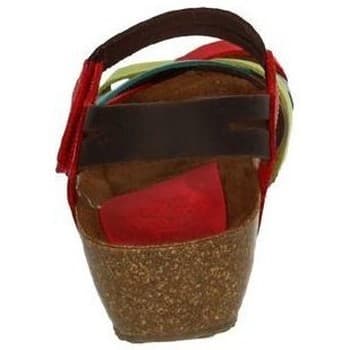 Women's Platforms Interbios Multicolor