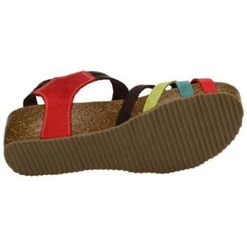Women's Platforms Interbios Multicolor