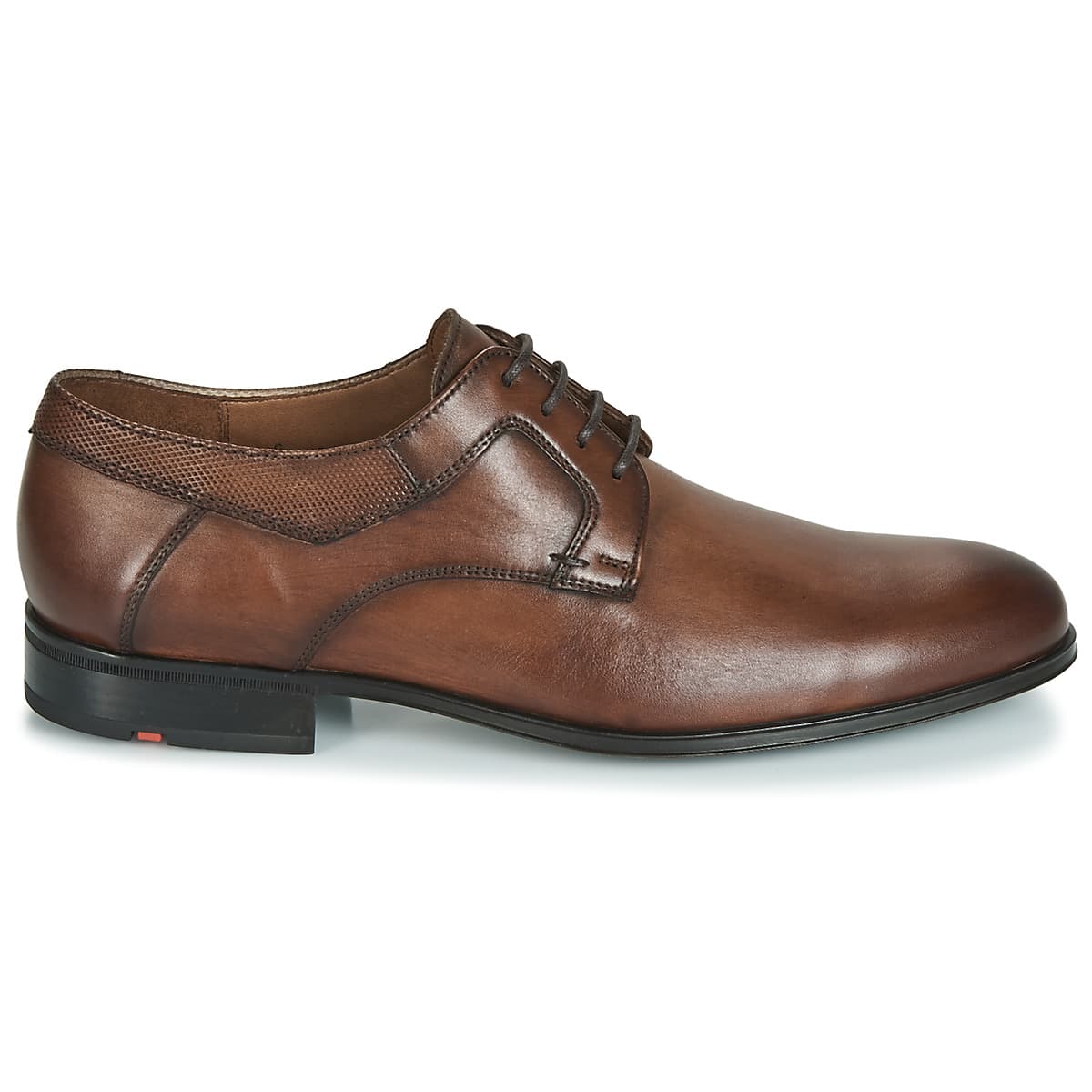 Men's Derby Shoes Lloyd Brown