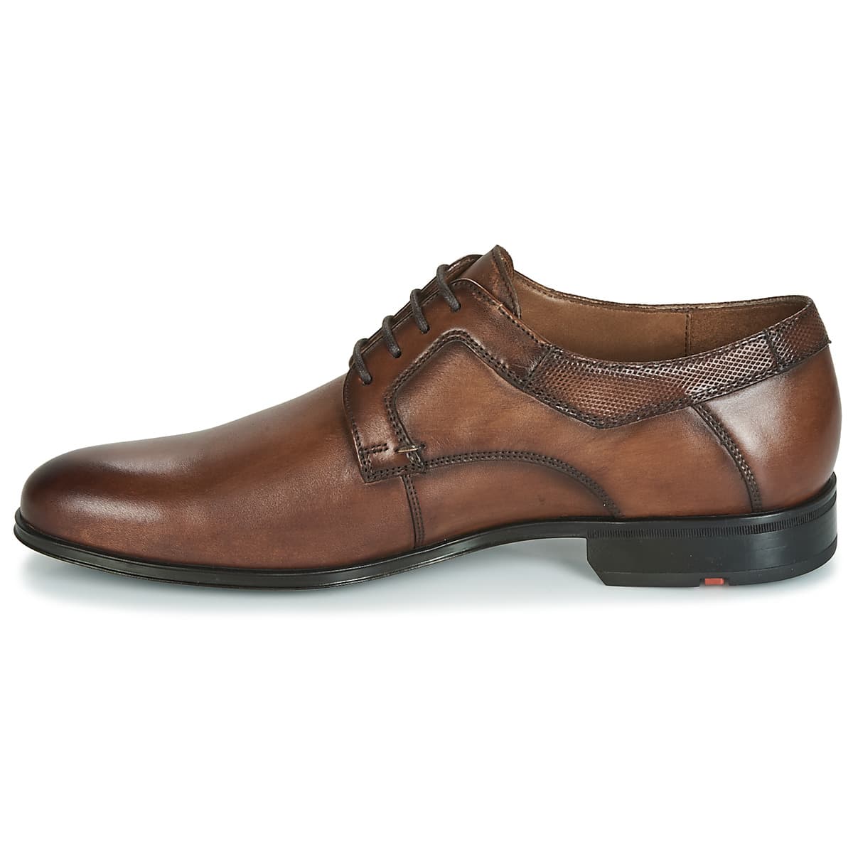 Men's Derby Shoes Lloyd Brown