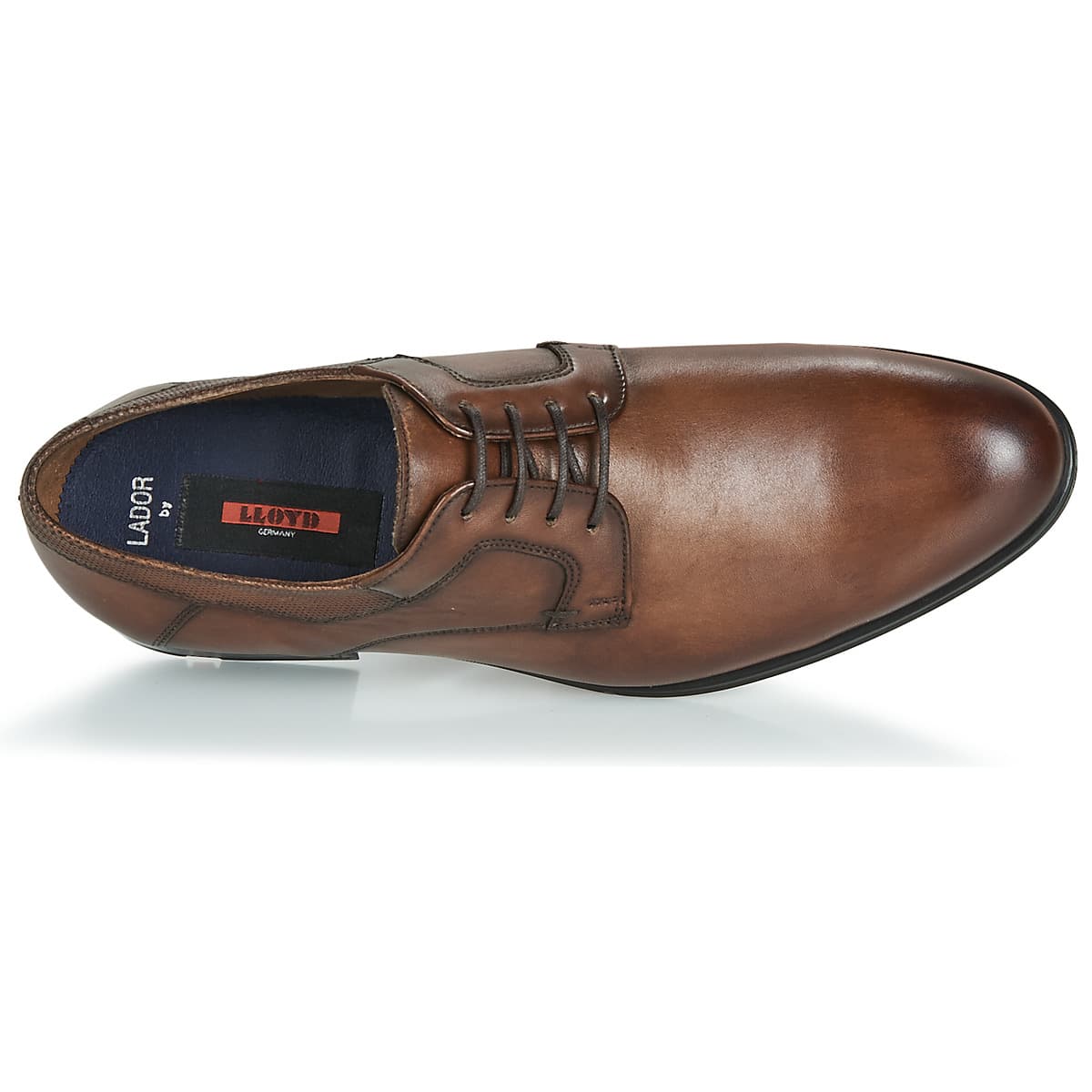 Men's Derby Shoes Lloyd Brown