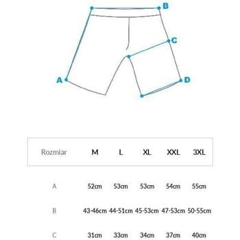 Men's Shorts Inni Producenci Blue