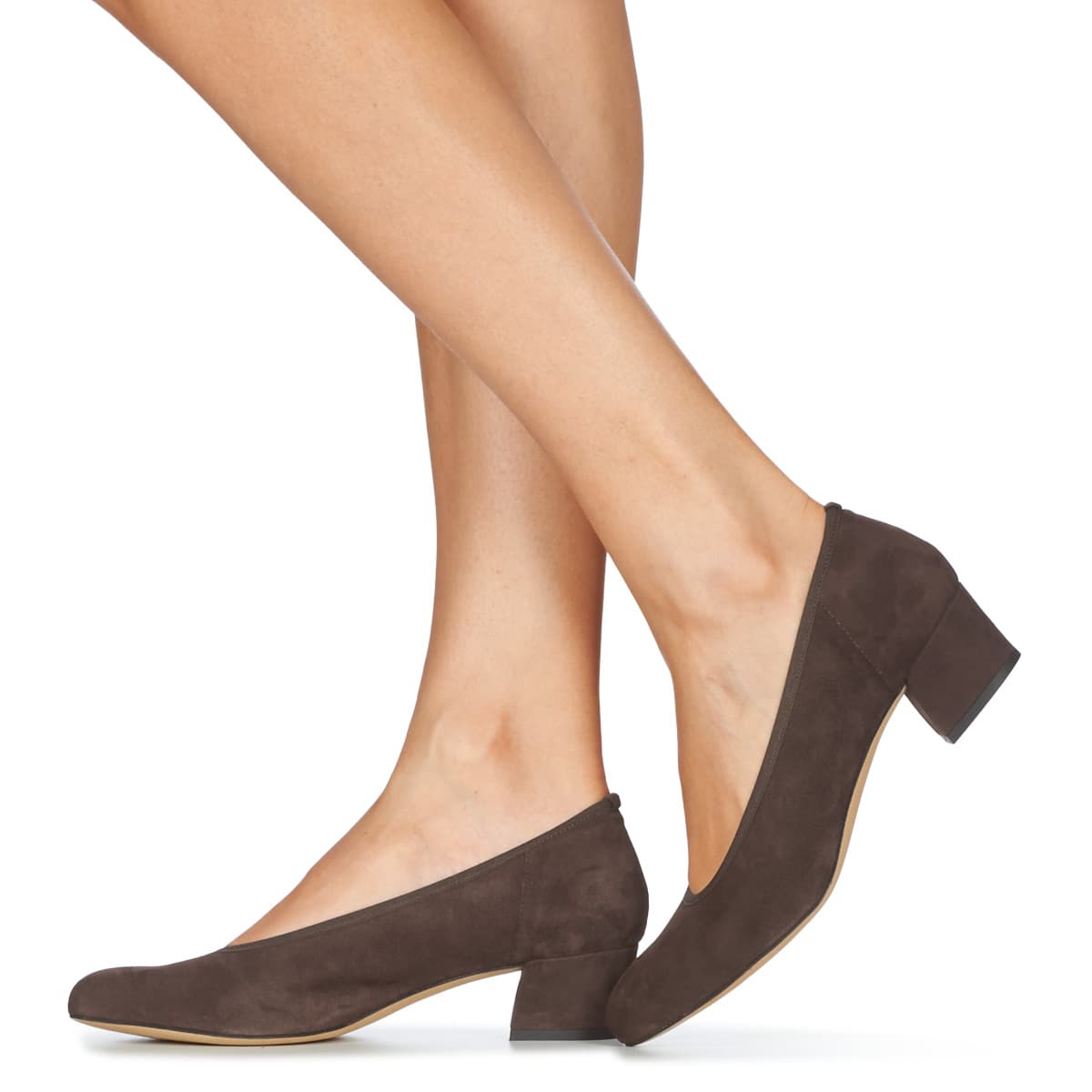 Women's Pumps Perlato Brown