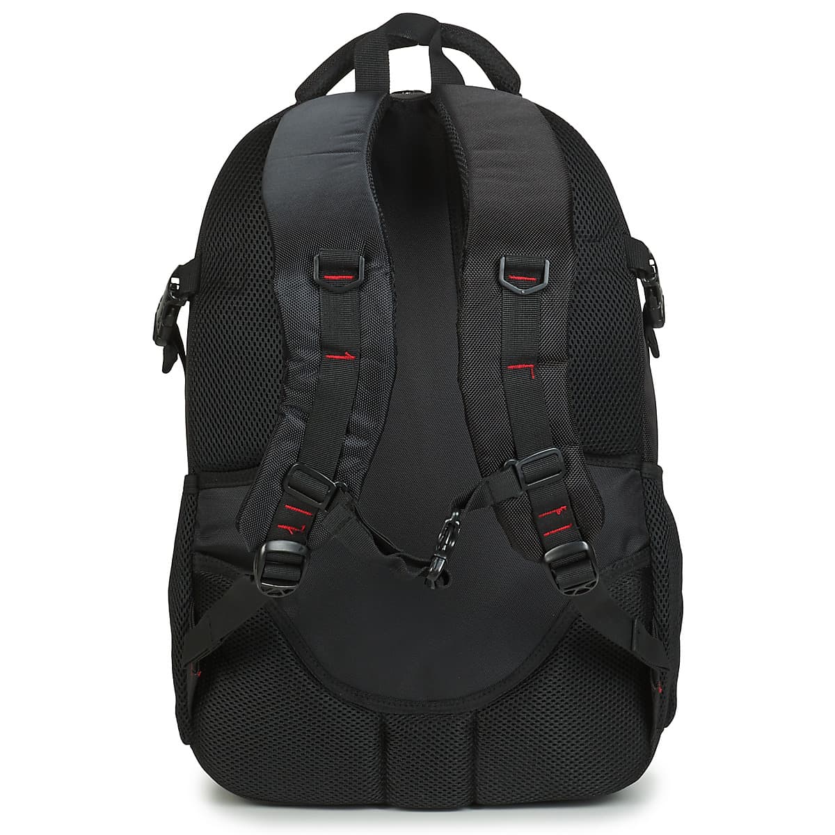 Women's Backpacks David Jones Black