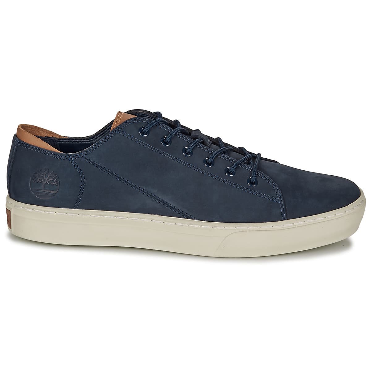 Men's Sneakers Timberland Blue
