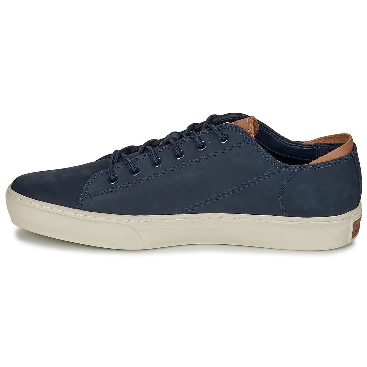 Men's Sneakers Timberland Blue