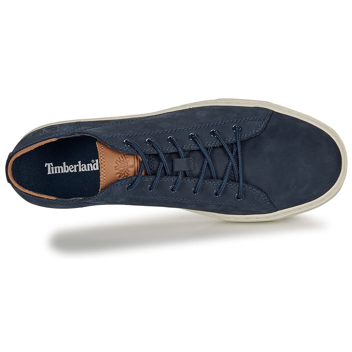 Men's Sneakers Timberland Blue