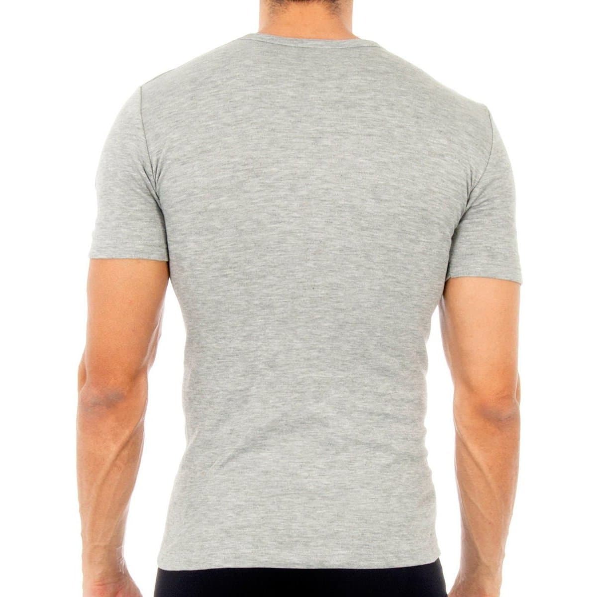 Men's T-Shirts Abanderado Gray