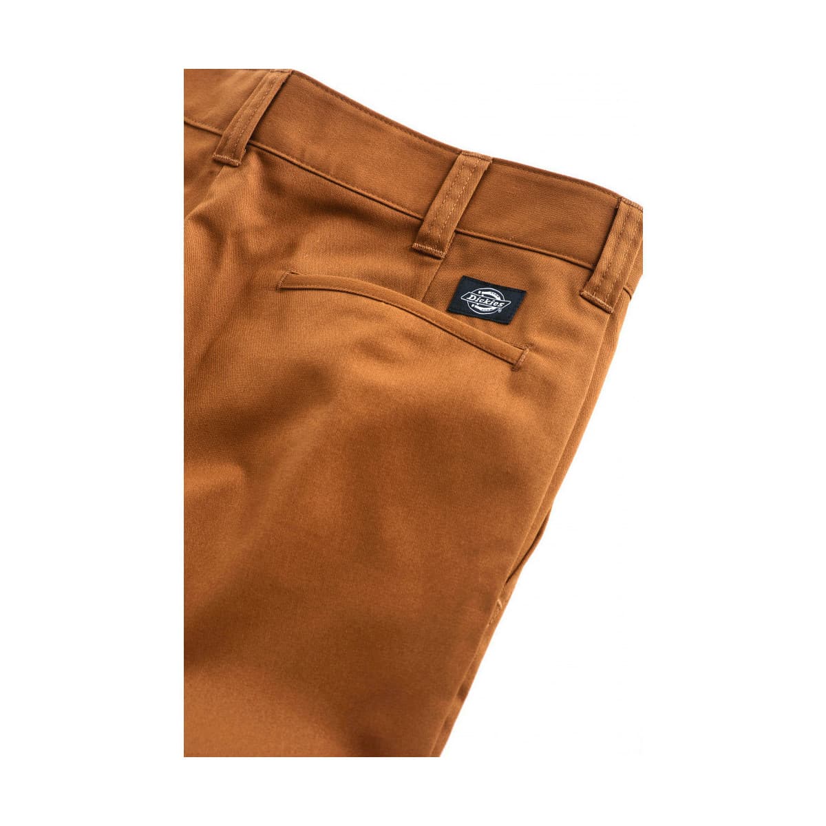 Men's Shorts Dickies Brown