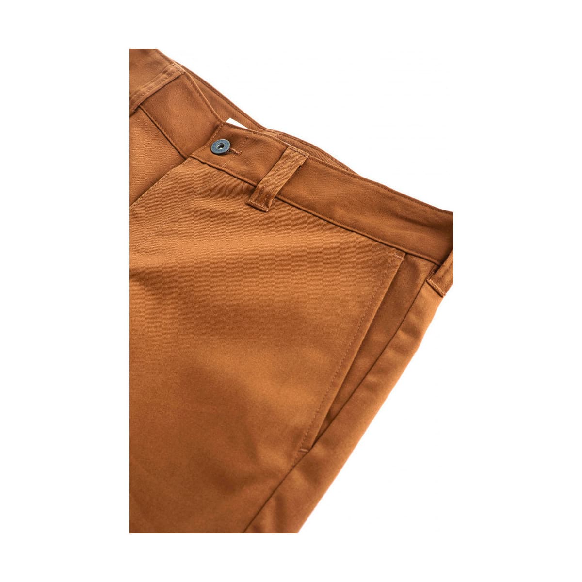 Men's Shorts Dickies Brown