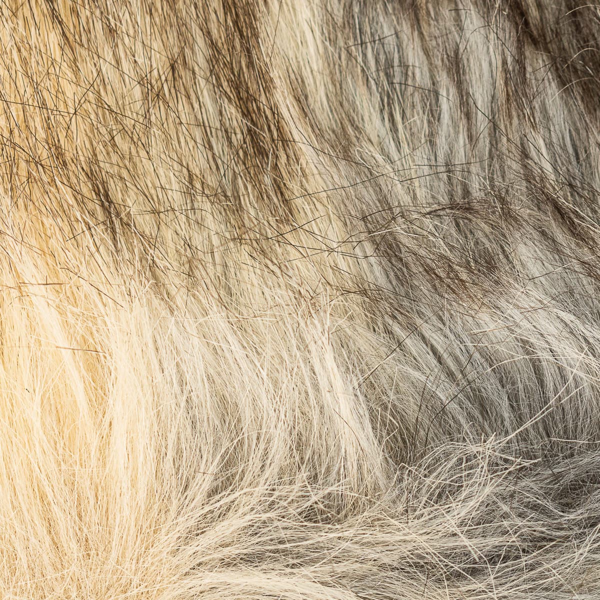 Girls' Scarves & Shawls Neck And Neck Beige