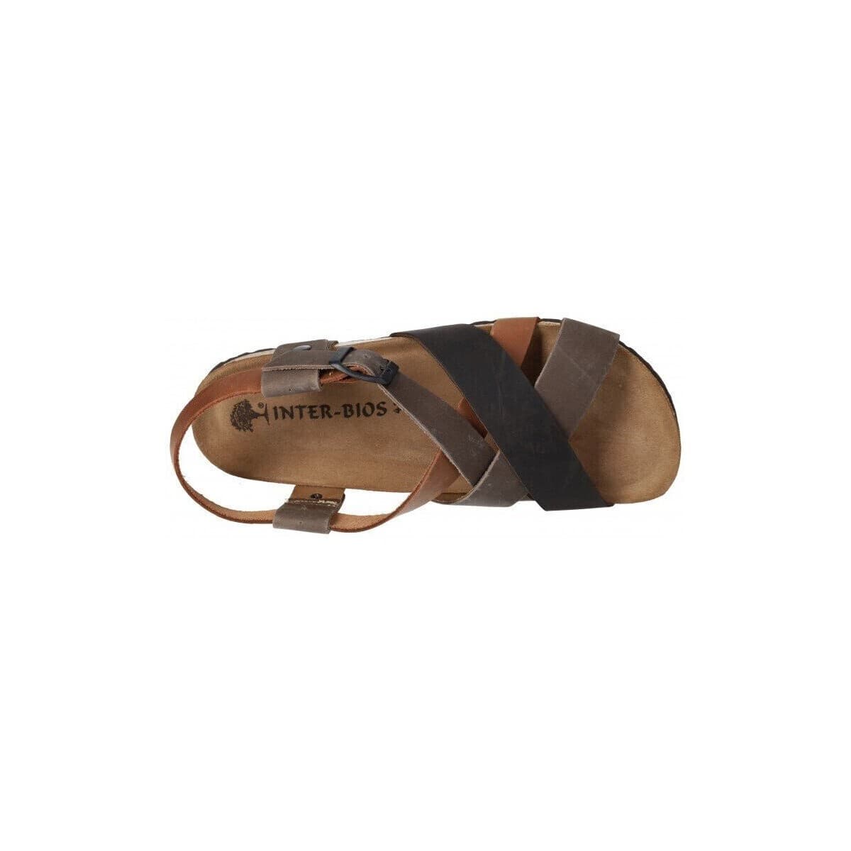 Men's Sandals Interbios Brown